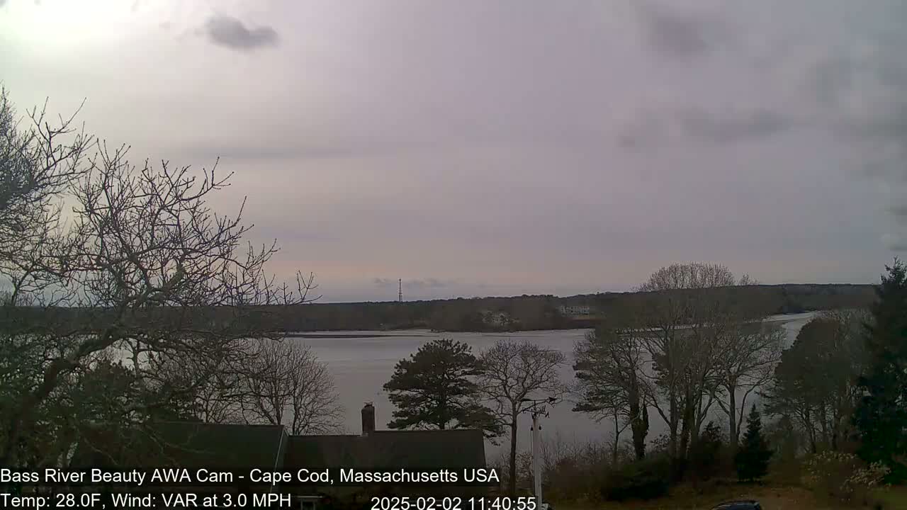 A calm, overcast day reveals a view of a river bordered by bare trees and a distant shoreline under a pale sky.