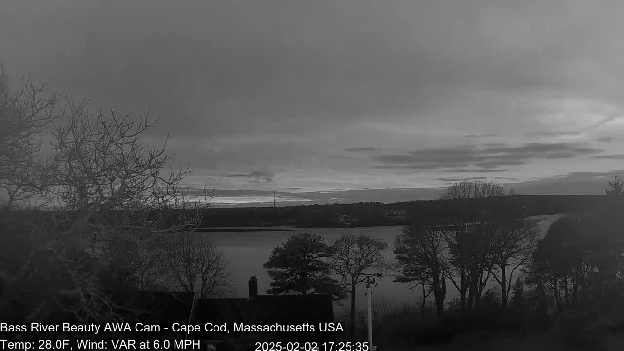 A grayscale view shows a calm body of water under a cloudy, overcast sky, with bare trees in the foreground and a treeline on the opposite shore.