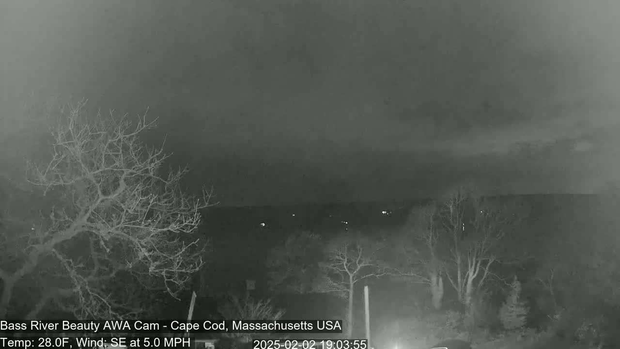A nighttime, overcast scene shows bare trees and a distant horizon line with faint lights under a dark, cloudy sky.