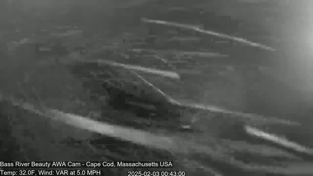 A dark, blurry image shows a body of water with white streaks across it in 32°F weather with variable winds at 5.0 mph.