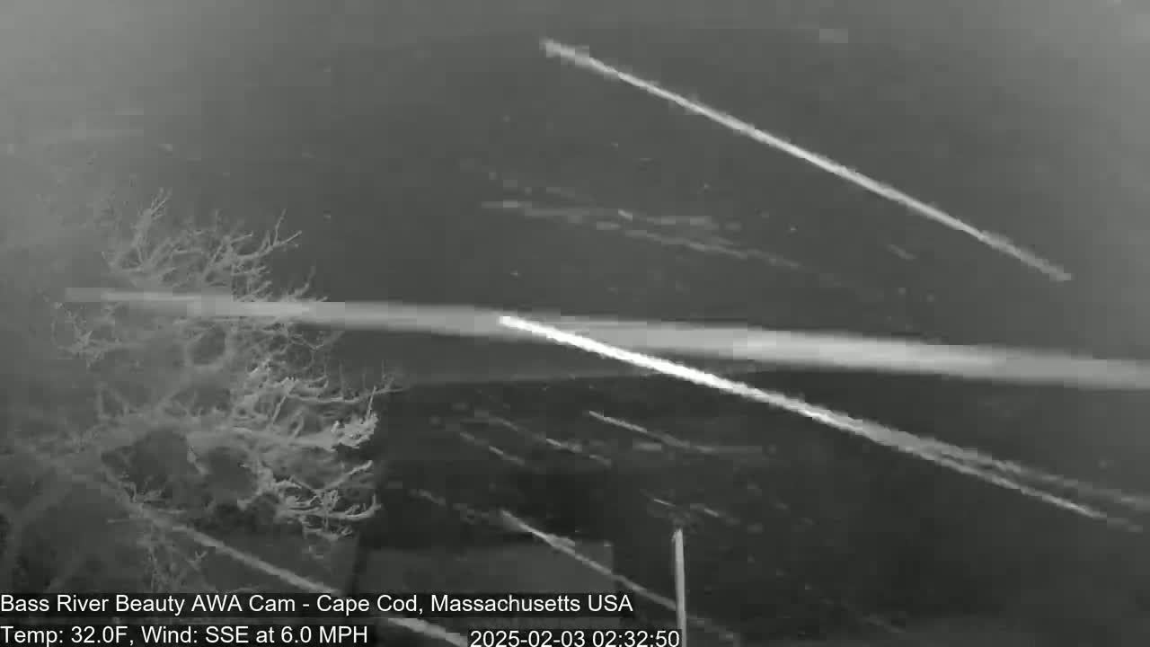 A nighttime, snowy scene shows a barren tree to the left and bright streaks of headlights from passing cars in the falling snow.