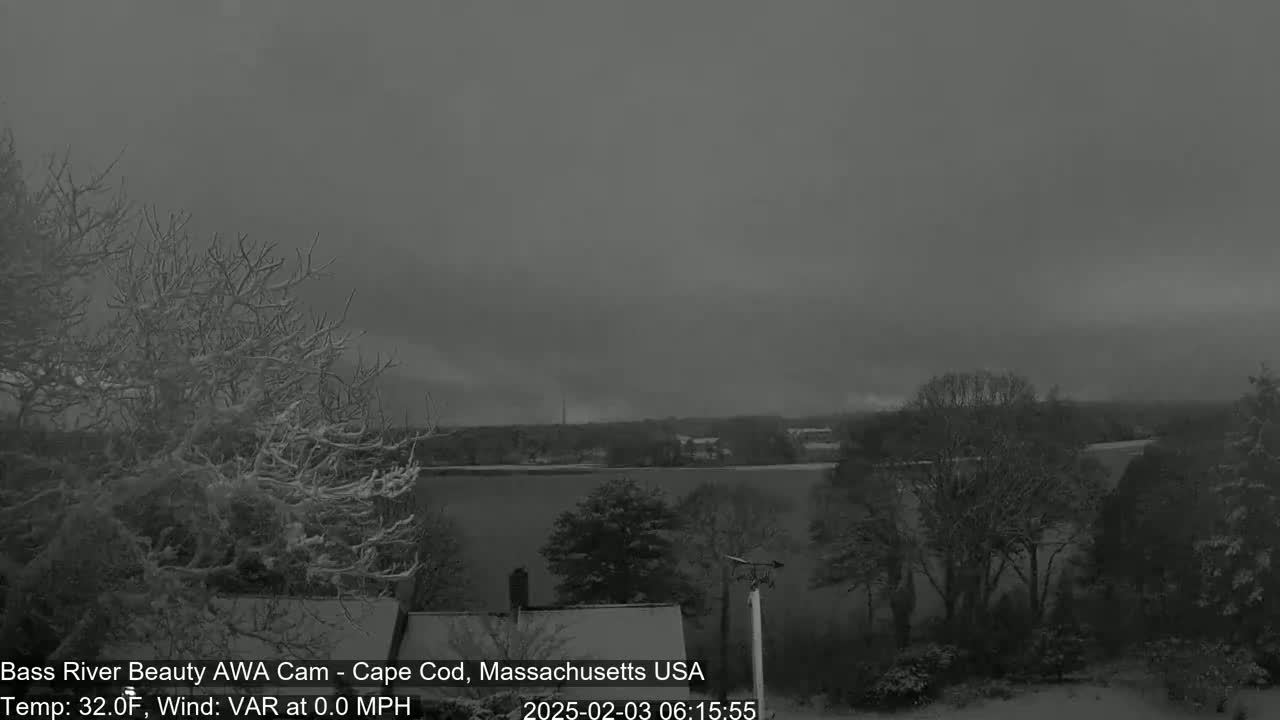 A snow-covered landscape, including trees and a body of water, is visible under a gray, overcast sky.