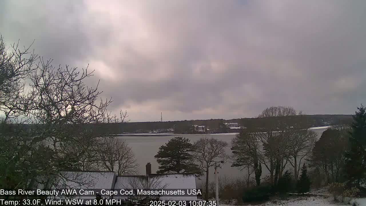 A snow-dusted landscape shows a calm river under an overcast sky, with bare trees in the foreground and a distant shoreline.
