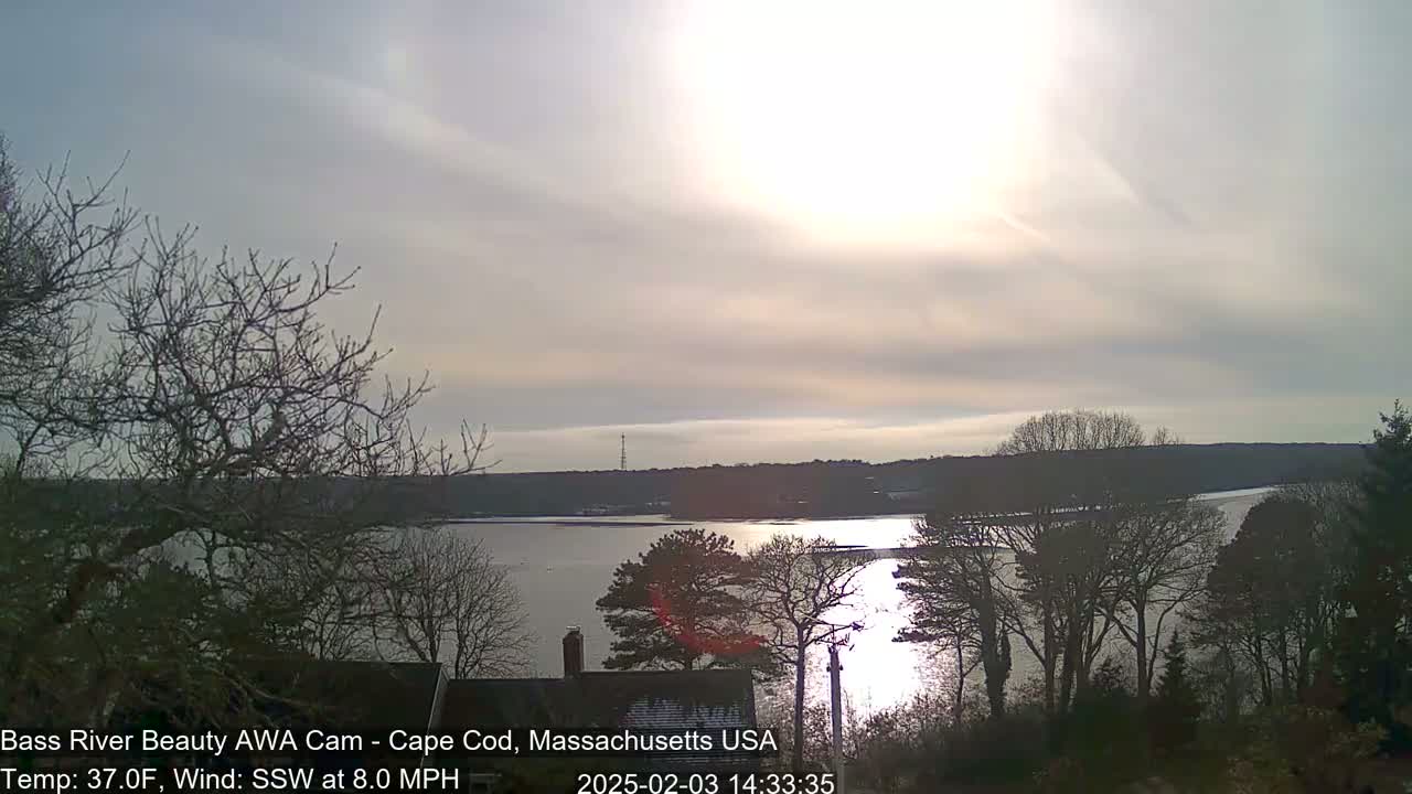 A calm, sunny day with a light southwest wind reveals a tranquil river scene framed by bare winter trees.