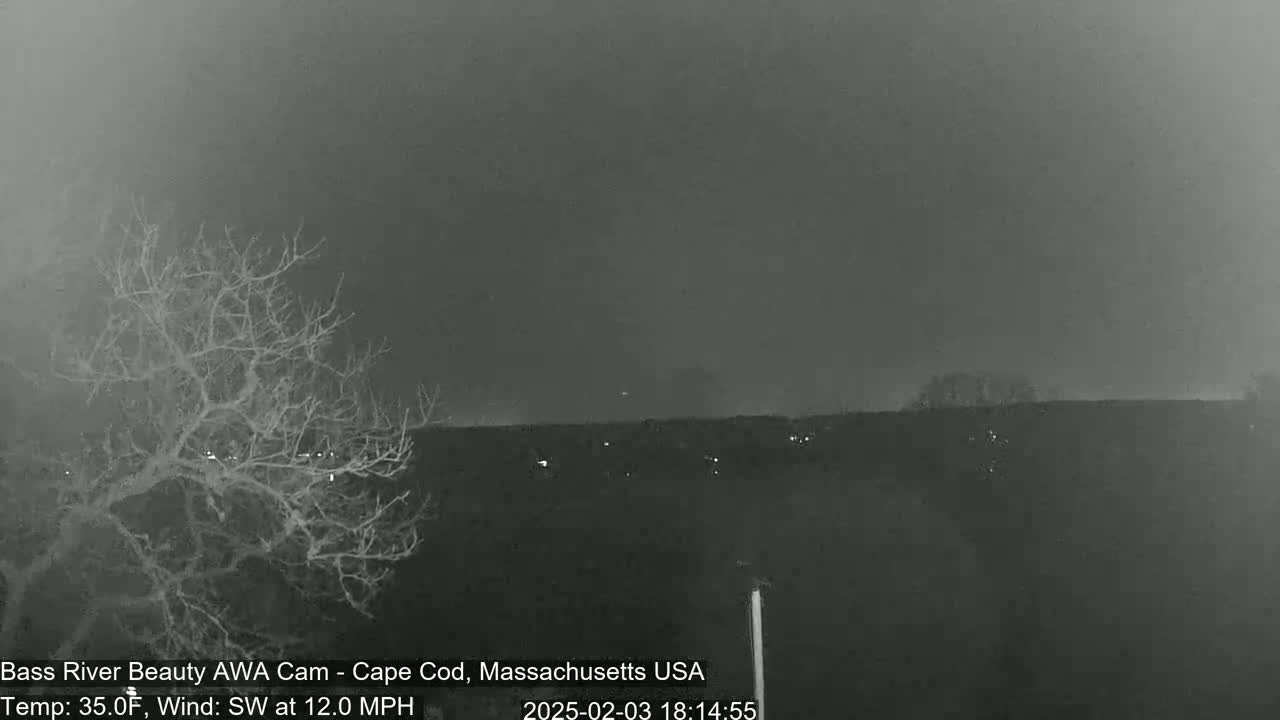 A nighttime, overcast scene shows a bare tree in the foreground and a dark, distant treeline under a gray sky with a 12 mph southwest wind and a temperature of 35°F.