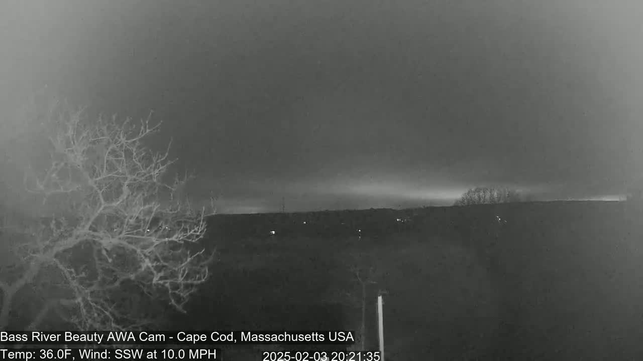 A nighttime, overcast scene shows a bare tree in the foreground and a dark, distant landscape under a gray sky with a 10 mph wind.