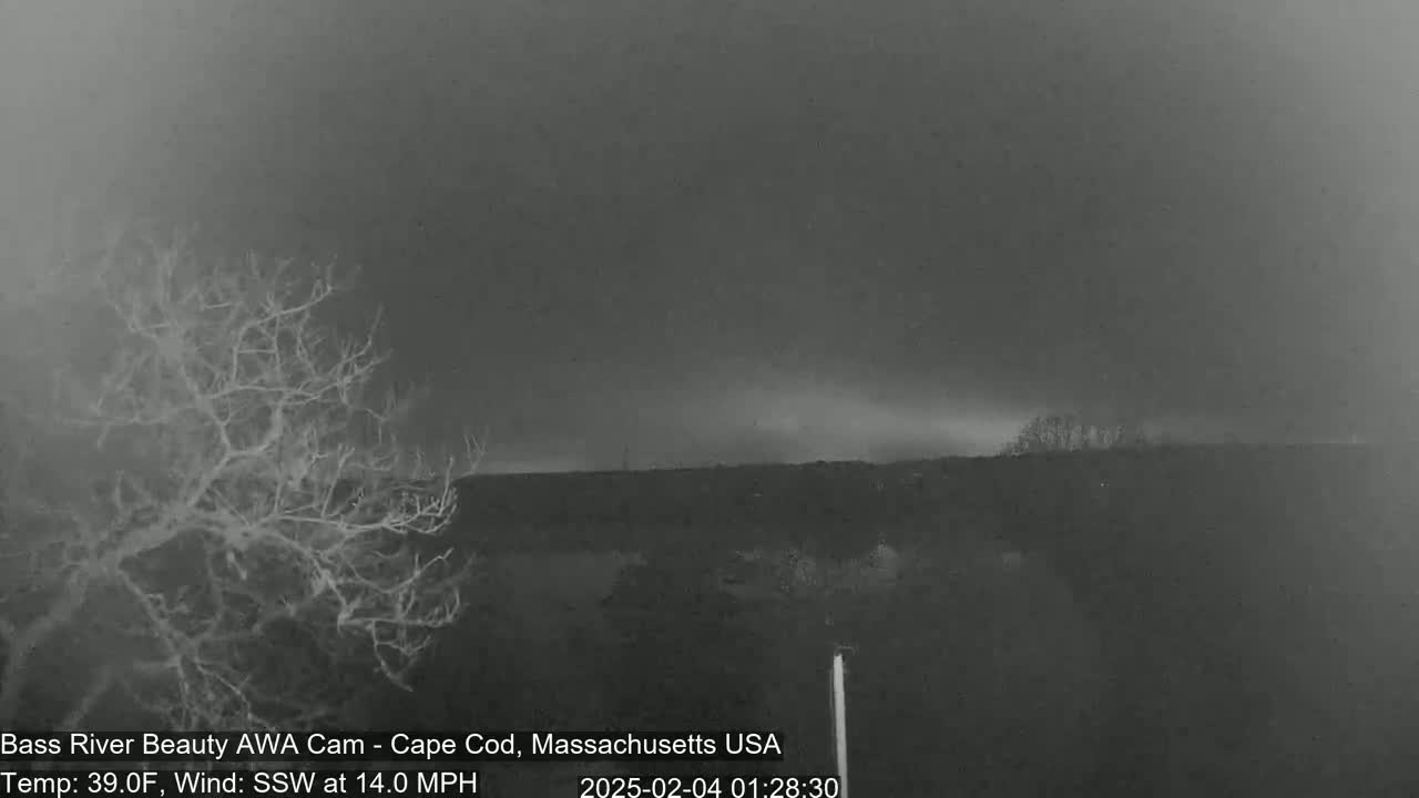 A dark, overcast night scene shows a barren tree in the foreground and a distant, indistinct landmass under a dark, cloudy sky with a 14 mph south-southwesterly wind and a temperature of 39°F.