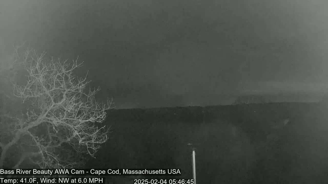 A bare tree stands in the foreground under a dark, overcast sky, with a distant, indistinct landscape in the background, and a northwest wind blowing at 6.0 mph.