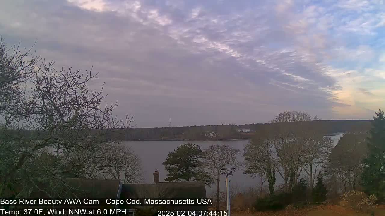 A calm river is visible under a mostly cloudy sky with streaks of lighter color near the horizon, framed by bare trees in the foreground.