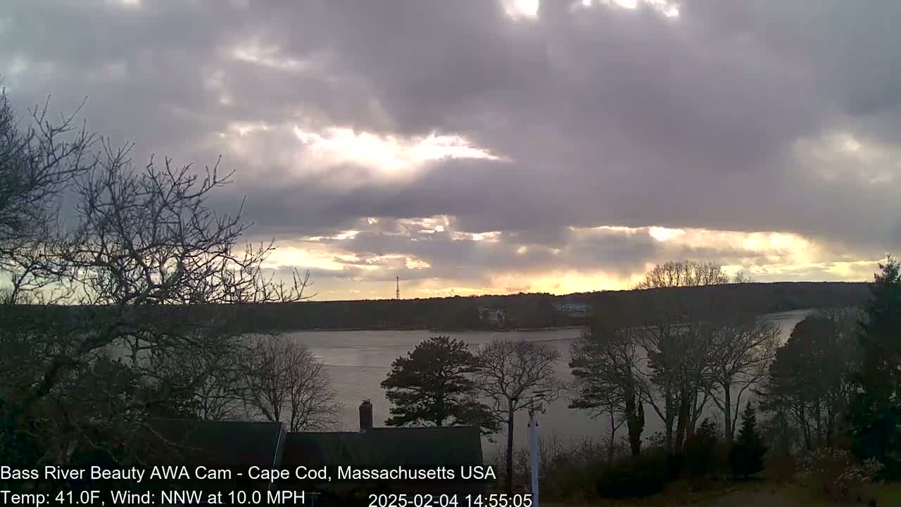 A partly cloudy sunset over a calm body of water, with bare trees in the foreground and a wooded shoreline in the distance.