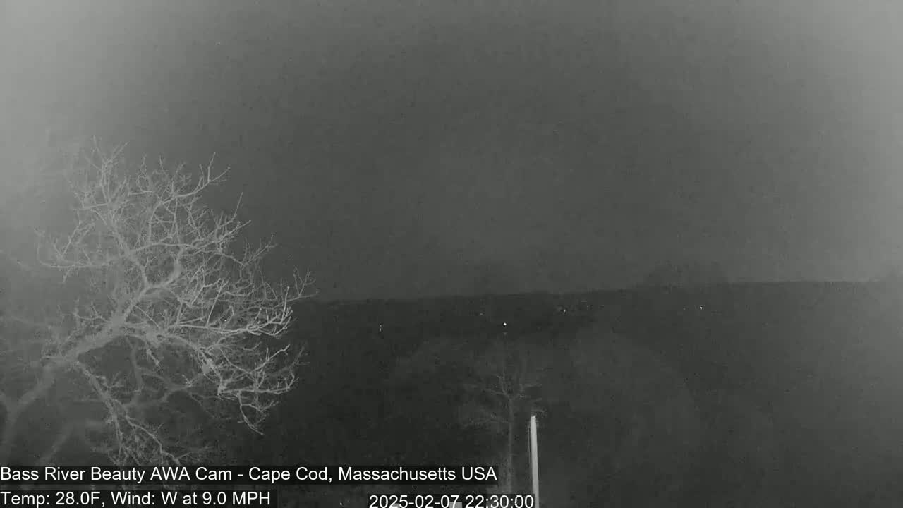 A nighttime, overcast view shows bare branches of a tree in the foreground and a dark, distant landscape under a gray sky, with a light wind.