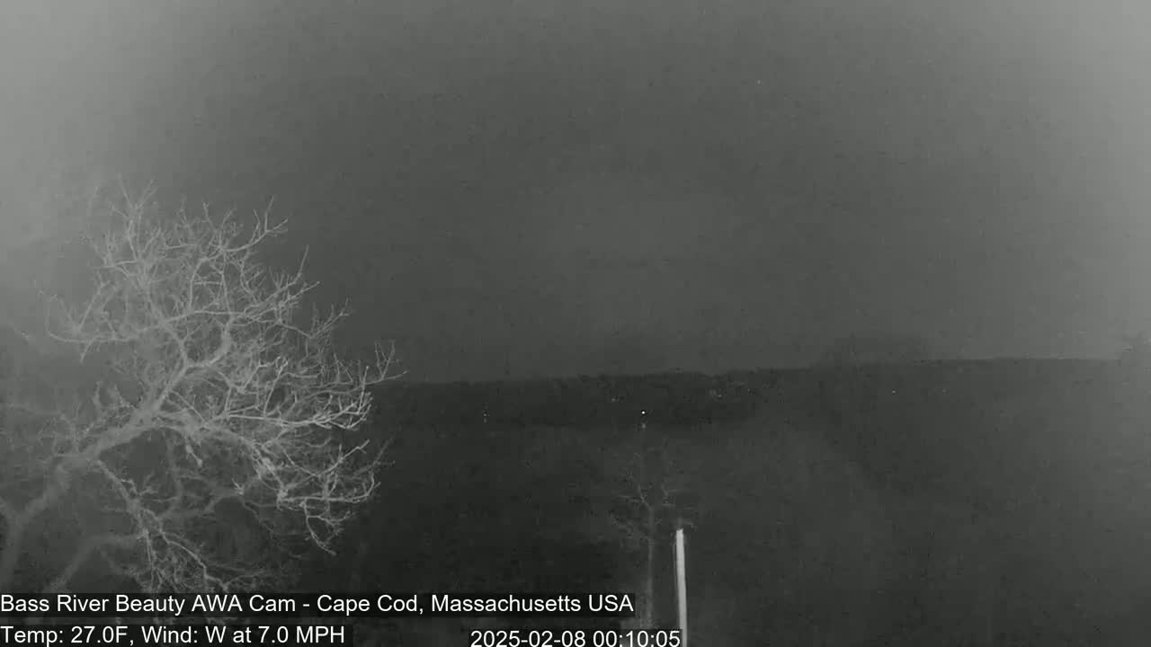 A nighttime, hazy view shows bare, leafless trees against a dark, overcast sky, with a slight wind.