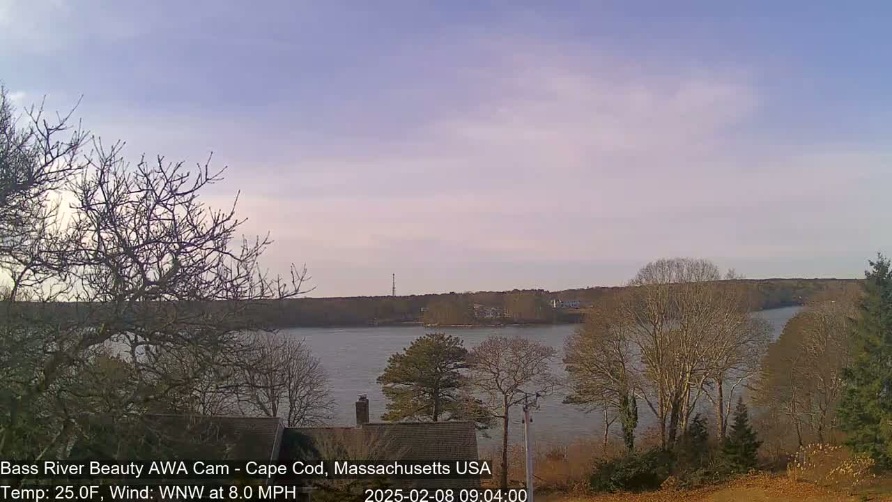 A calm river is seen from a high vantage point on a partly cloudy day, with bare trees in the foreground and across the water.