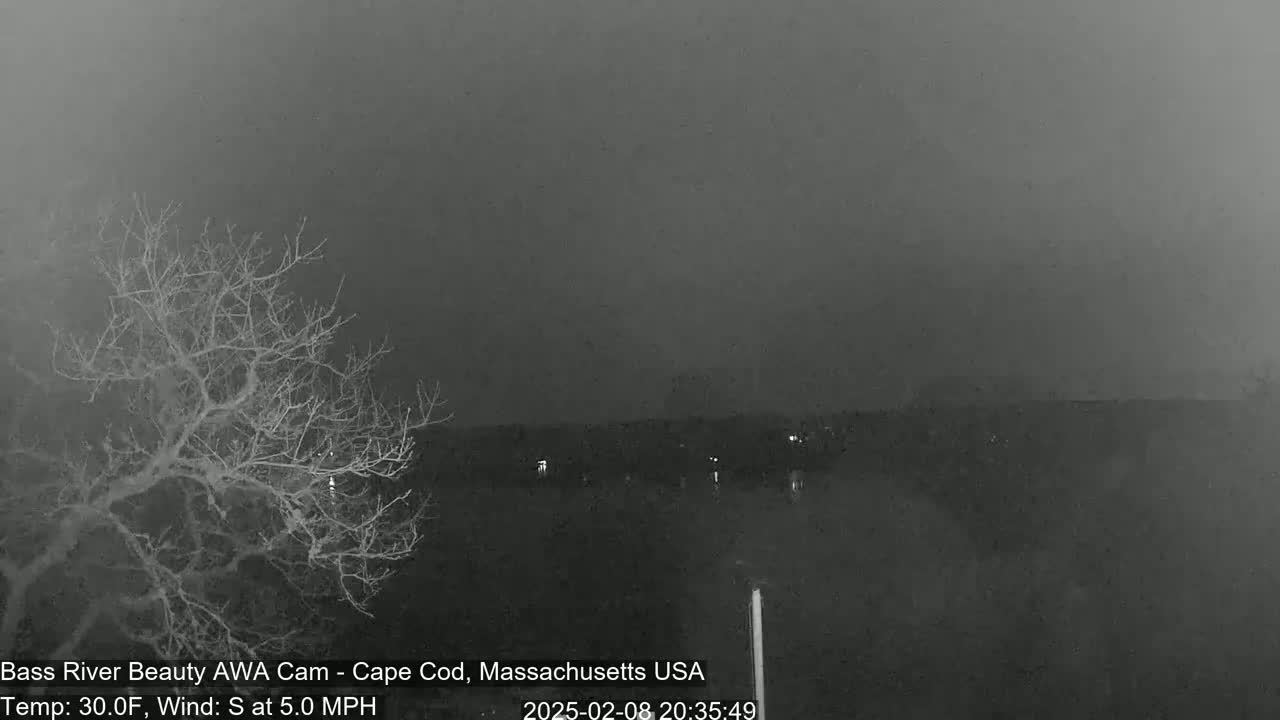 A bare tree stands in the foreground of a nighttime scene shrouded in fog, with faint lights visible in the distance.