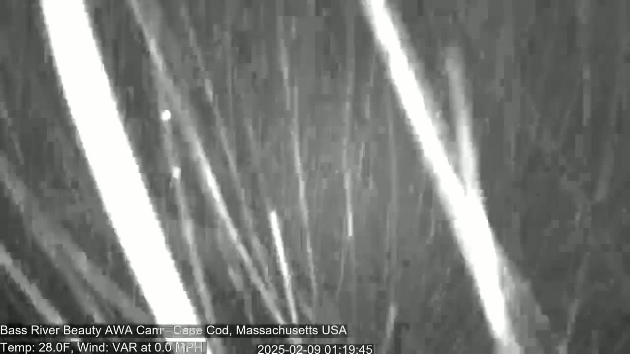 Bright streaks of light appear against a dark, grainy background.
