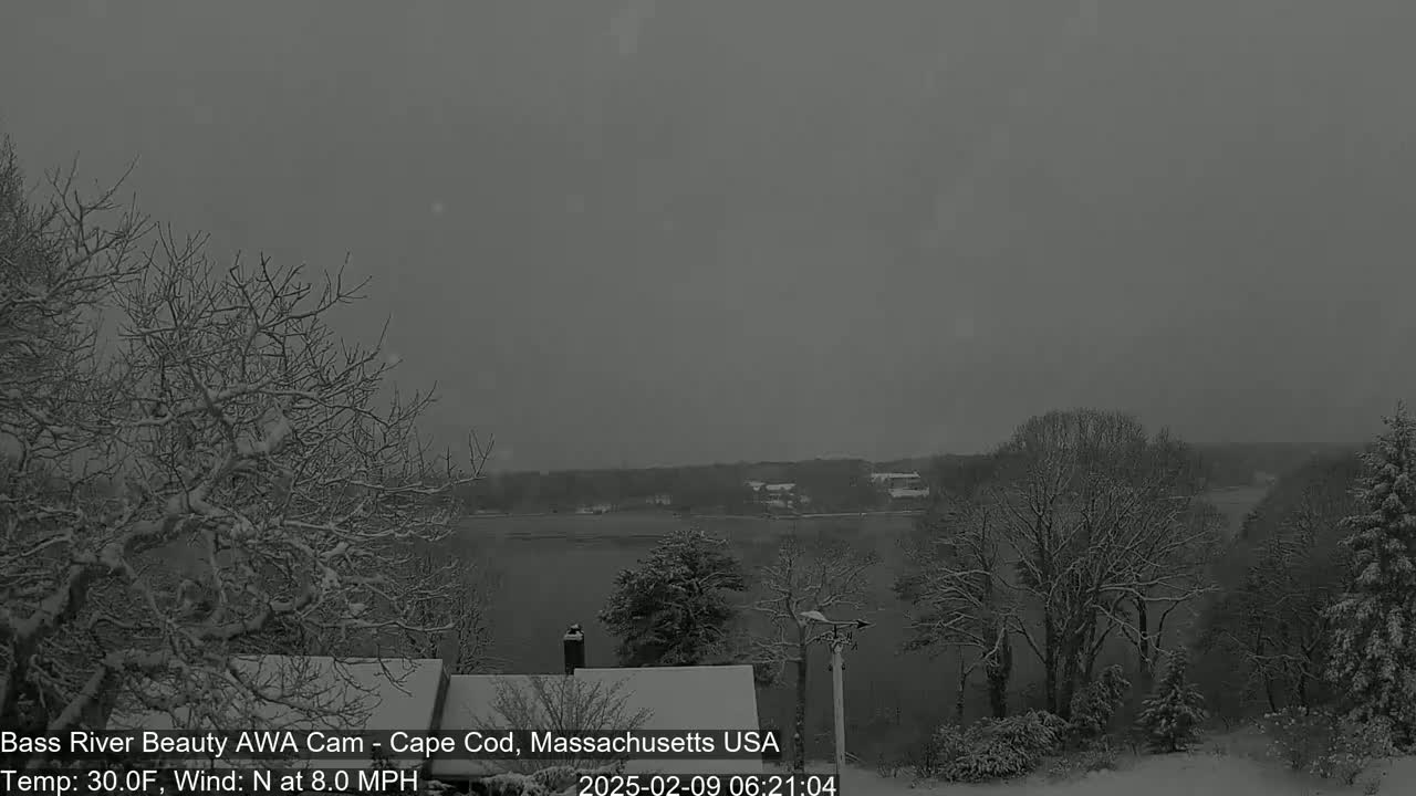 Snow falls on a snow-covered landscape of trees and a body of water, with a slight north wind.