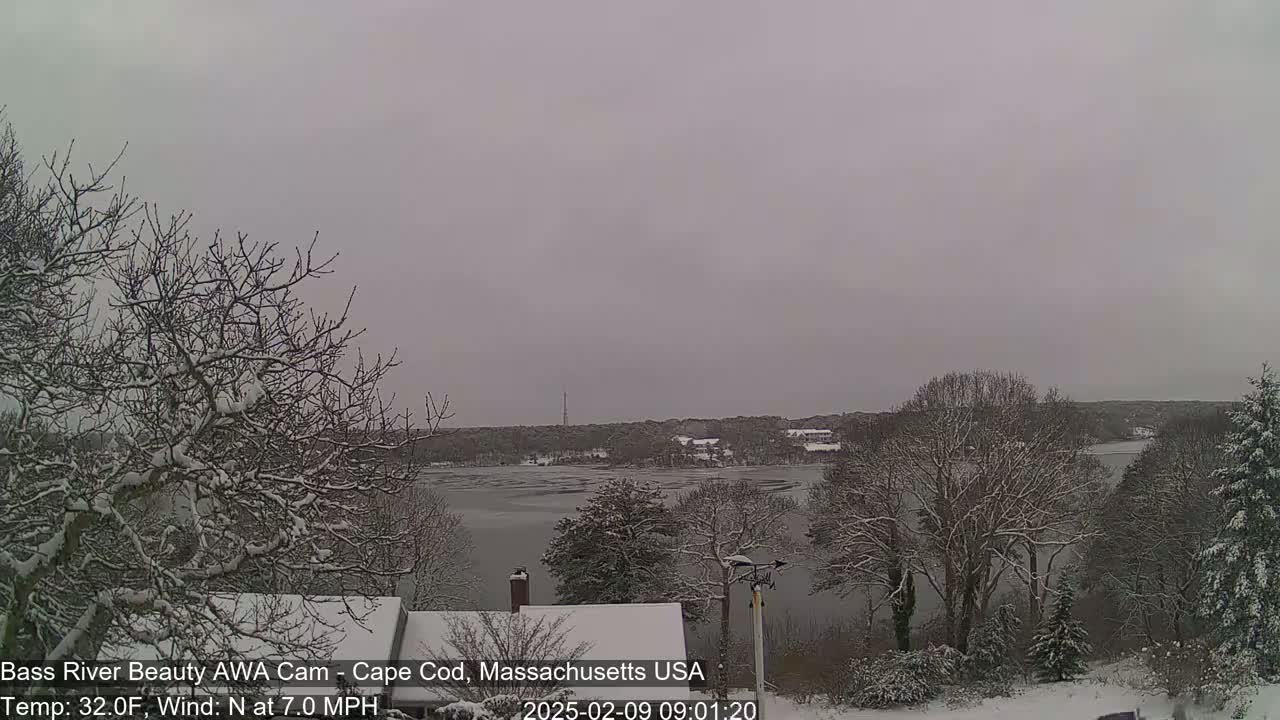 Snow-covered trees and rooftops overlook a partially frozen river under an overcast sky.