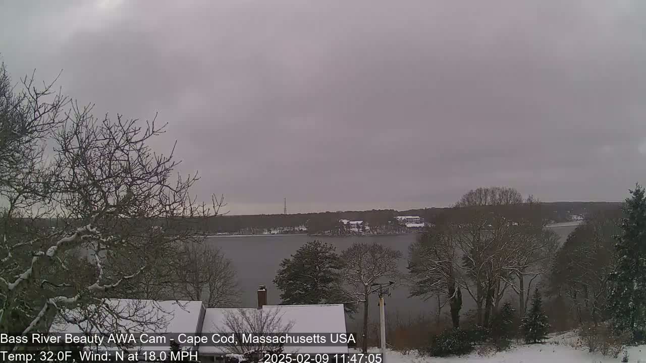 A snow-covered landscape shows a calm body of water behind bare, snow-dusted trees under an overcast sky.
