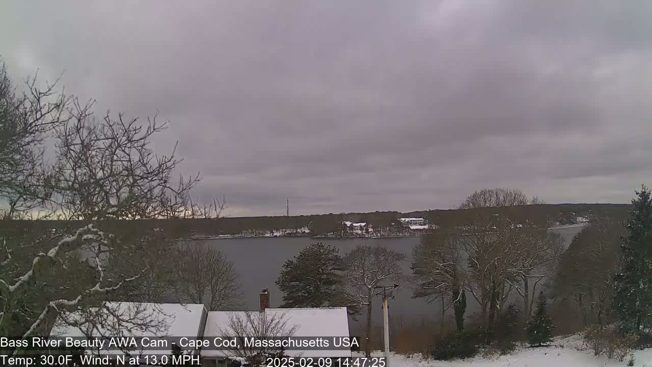 A snow-covered landscape shows a calm body of water under an overcast sky, with leafless trees and snow-dusted rooftops in the foreground.