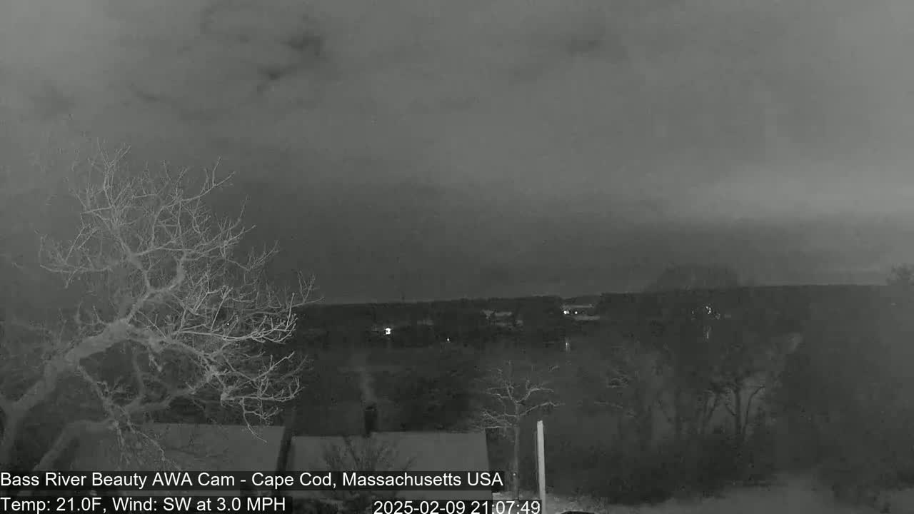 A nighttime, overcast view of bare trees and a distant, dimly lit landscape under a dark, cloudy sky with a southwest wind.