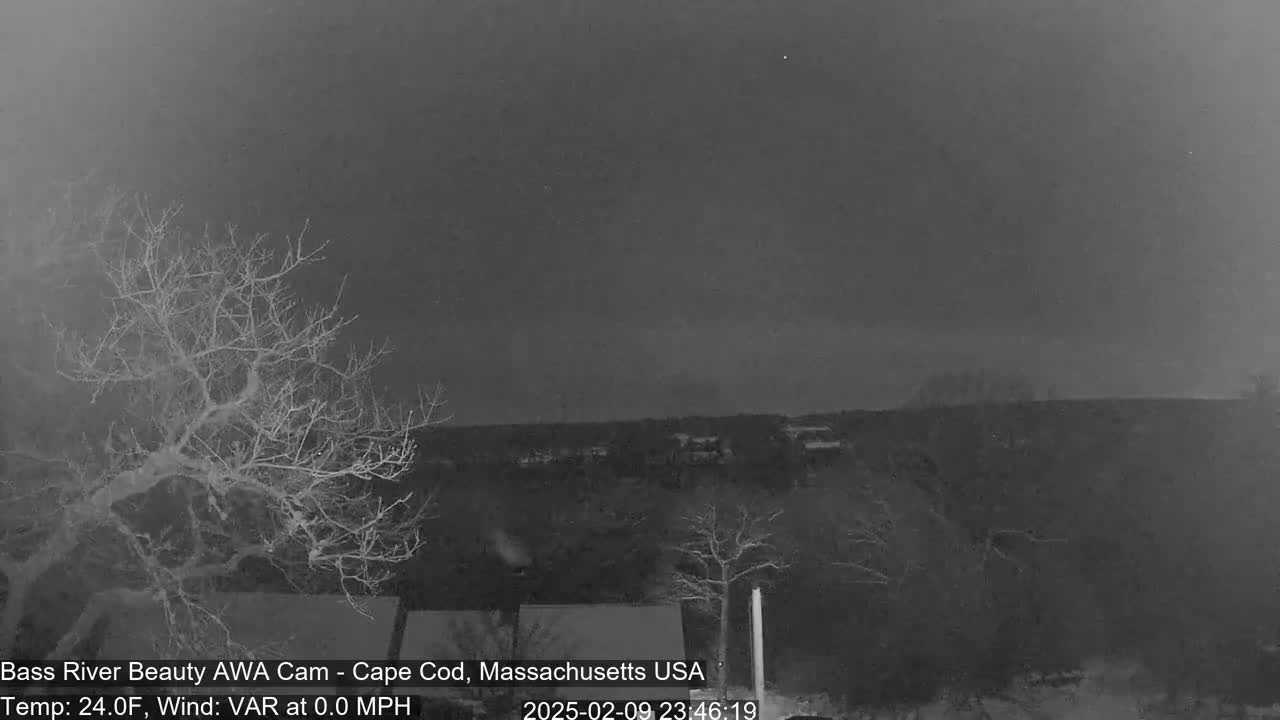 A nighttime, grayscale image shows bare, leafless trees in the foreground against a dark, overcast sky over a distant, dark treeline.