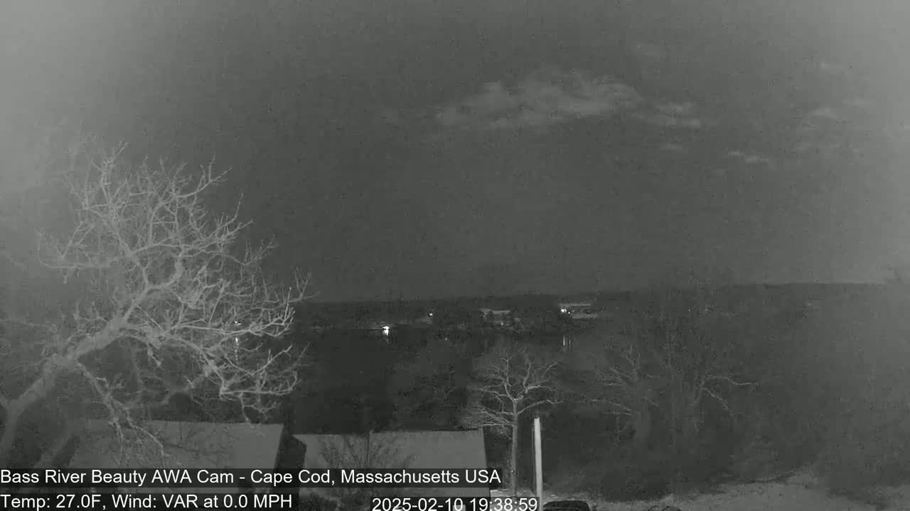 A nighttime, overcast view shows bare trees silhouetted against a dark body of water, with a few distant lights visible across the water.
