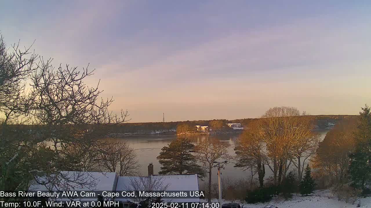 A calm river is seen at sunrise, under a pale sky, with snow-covered ground and leafless trees in the foreground.