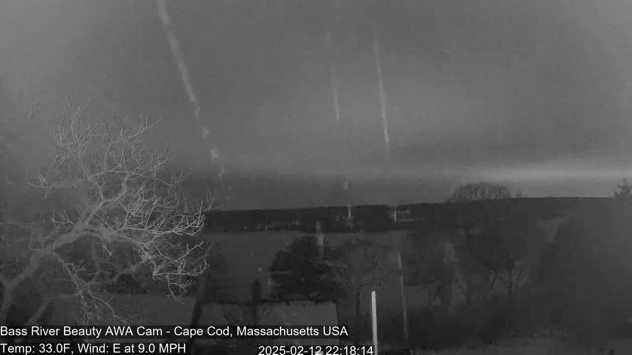 A nighttime, overcast scene shows several streaks of light in the sky over bare trees and a body of water.