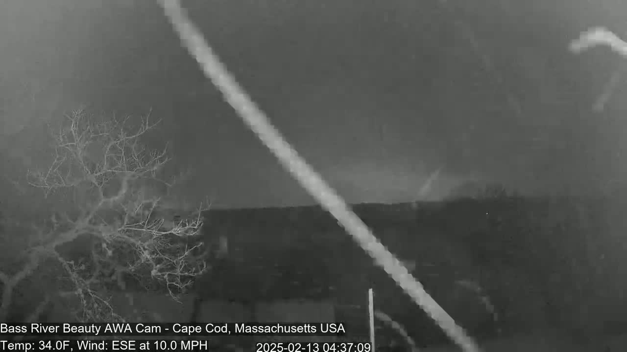 A nighttime, grayscale image shows a barren tree in the foreground under a dark, overcast sky with a bright streak diagonally across the frame, and a wind of 10 mph.