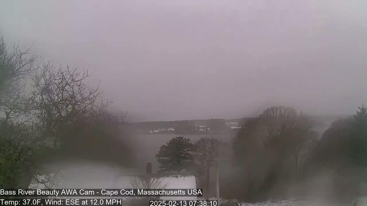 A foggy, snowy scene overlooks a calm body of water with bare trees in the foreground and background.
