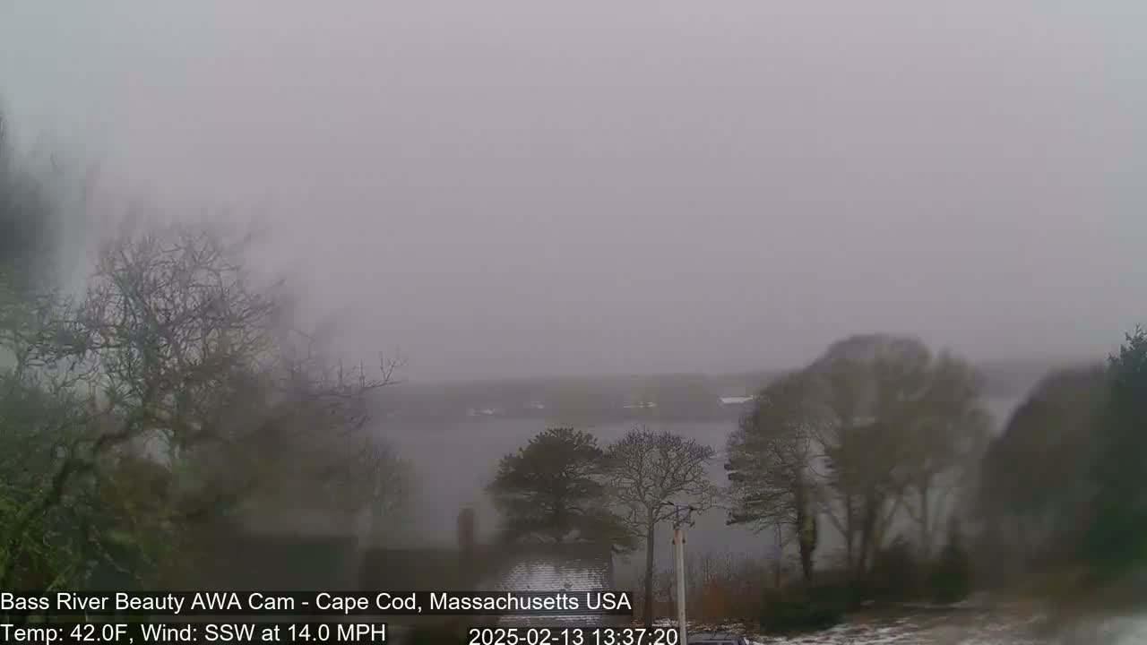 A foggy, overcast scene shows a body of water partially obscured by bare trees and a hazy atmosphere.