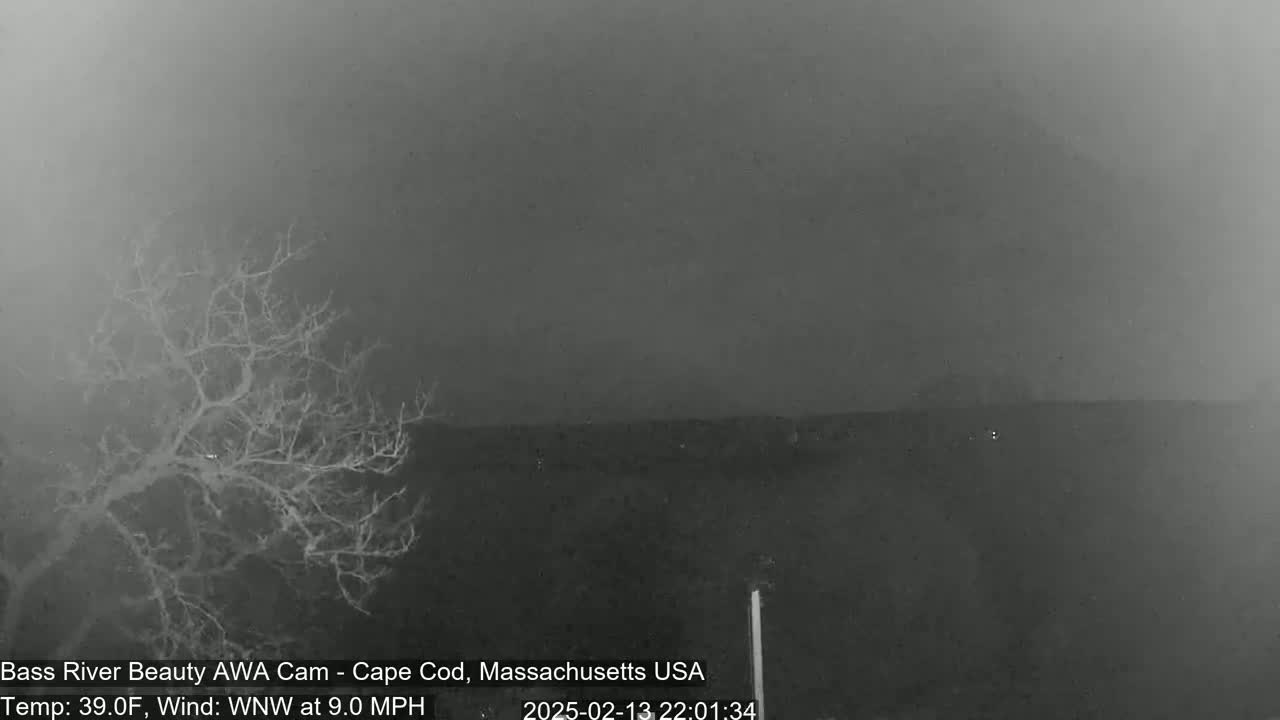 A bare tree stands in the foreground under a dark, overcast sky with a 9.0 mph wind from the west-northwest.