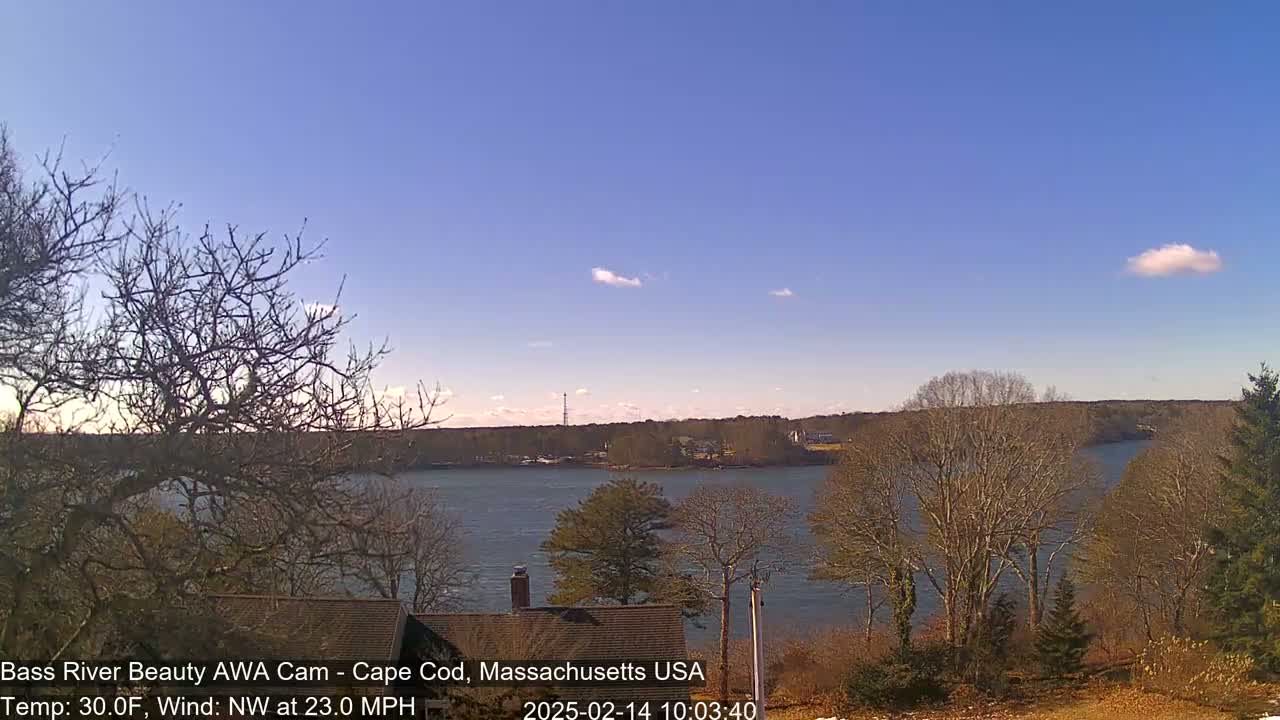 A calm river is seen from a vantage point on a slightly windy, sunny day with bare trees lining the shoreline and a few small clouds in the sky.