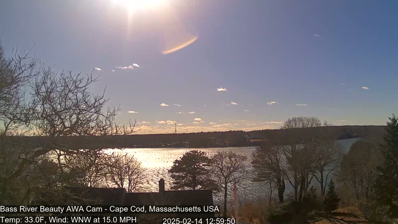 A mostly sunny, windy day is shown overlooking a wide, choppy river, with bare trees lining the shoreline in the foreground and background.