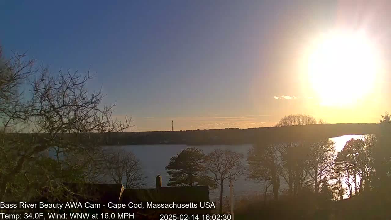 A bright, slightly hazy sunset over a calm river, with leafless trees silhouetted in the foreground under a clear, mostly blue sky.