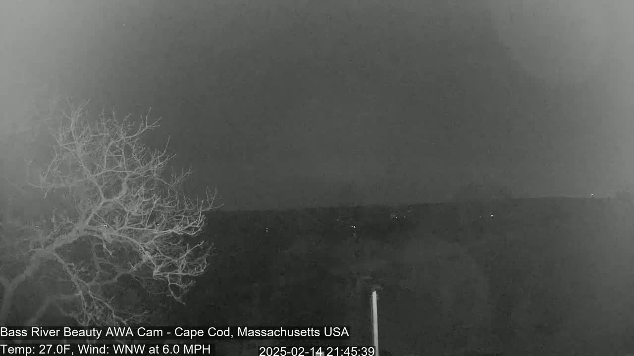 A bare, leafless tree stands in the foreground of a nighttime outdoor scene under a hazy, dark sky with a 6.0 mph wind.