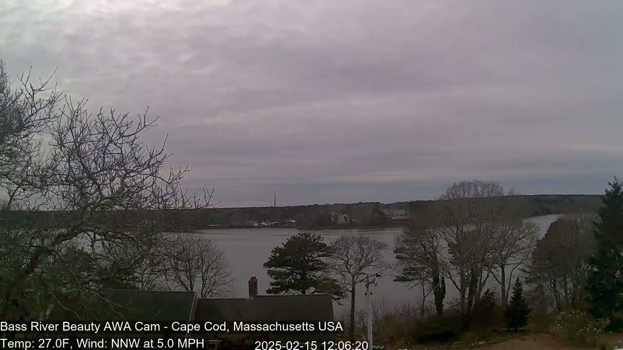 A calm river is seen from a high vantage point on an overcast day, with bare trees in the foreground and across the opposite bank.
