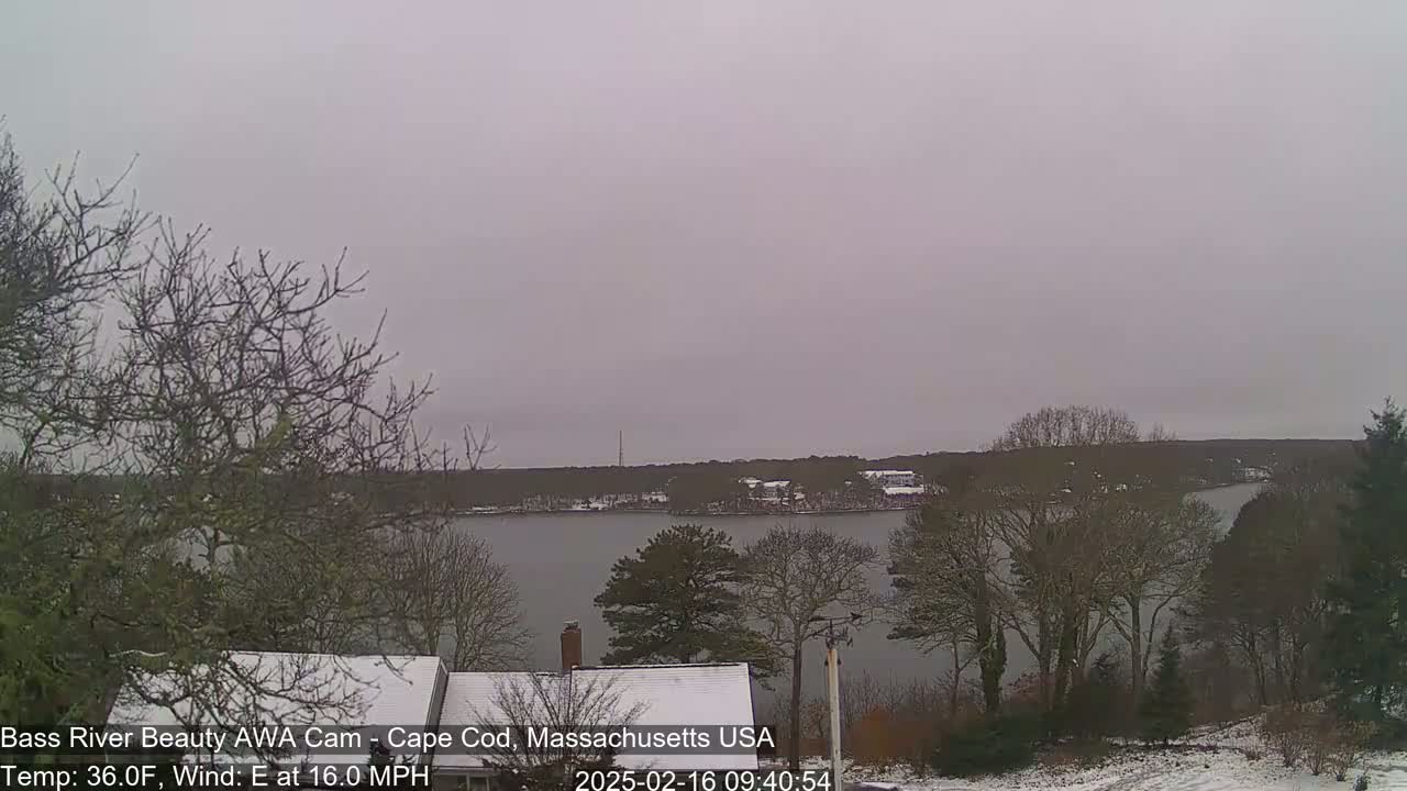 A snow-dusted landscape shows a calm body of water under an overcast sky, with leafless trees and snow-covered rooftops in the foreground.