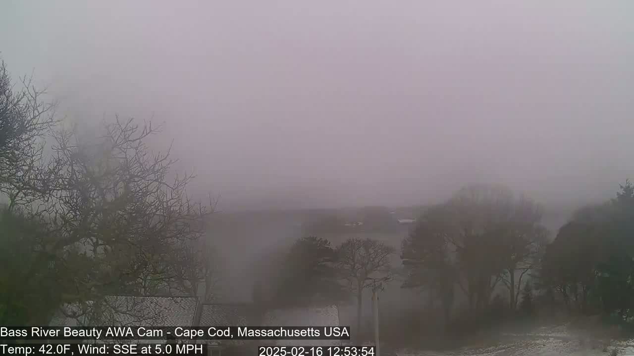 A foggy landscape shows bare trees and a hint of a building in the distance, with a light dusting of snow on the ground.