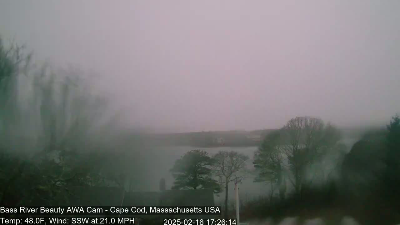 A foggy, overcast scene shows a body of water partially obscured by trees and mist, with a wind blowing from the south-southwest at 21 mph.
