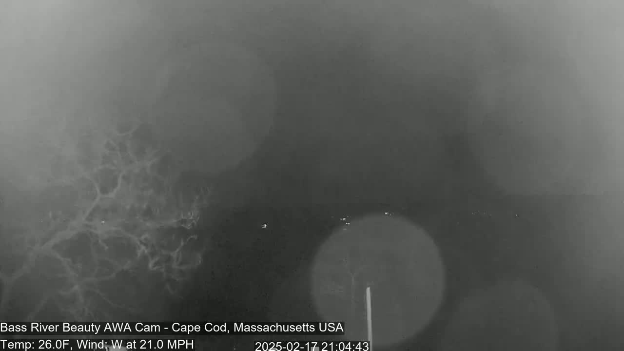 A low-visibility, nighttime image shows a dark, possibly foggy or hazy scene with faint lights in the distance, and a 21 mph westerly wind at 26 degrees Fahrenheit.