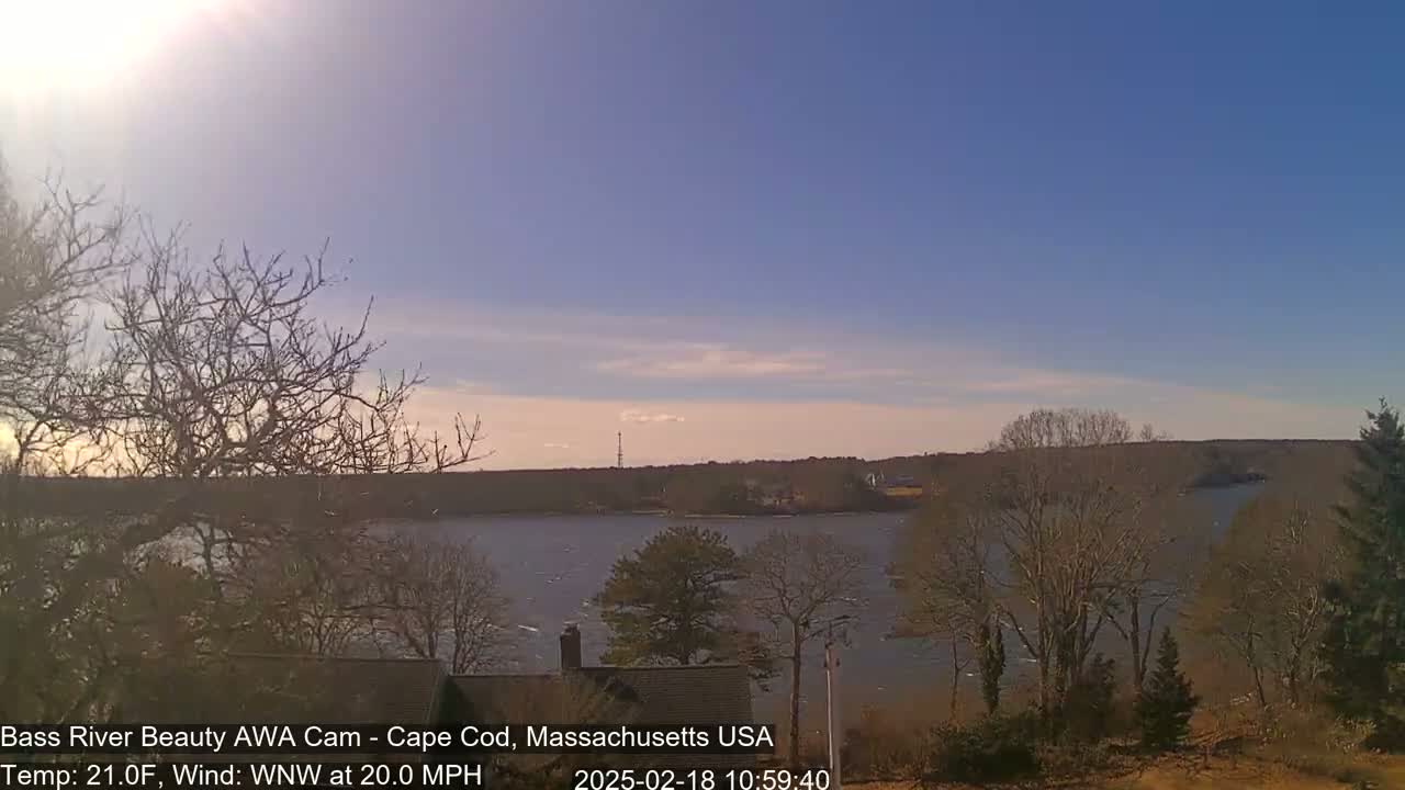 A mostly clear, sunny sky over a calm body of water, surrounded by bare winter trees with a 20 mph wind from the west-northwest and a temperature of 21°F.