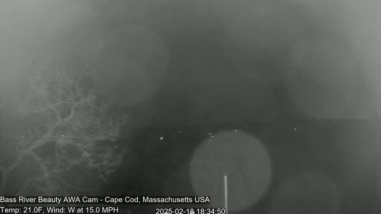 A foggy, nighttime scene shows a dark body of water with faint lights in the distance, under a 21°F temperature with a 15 mph westerly wind.