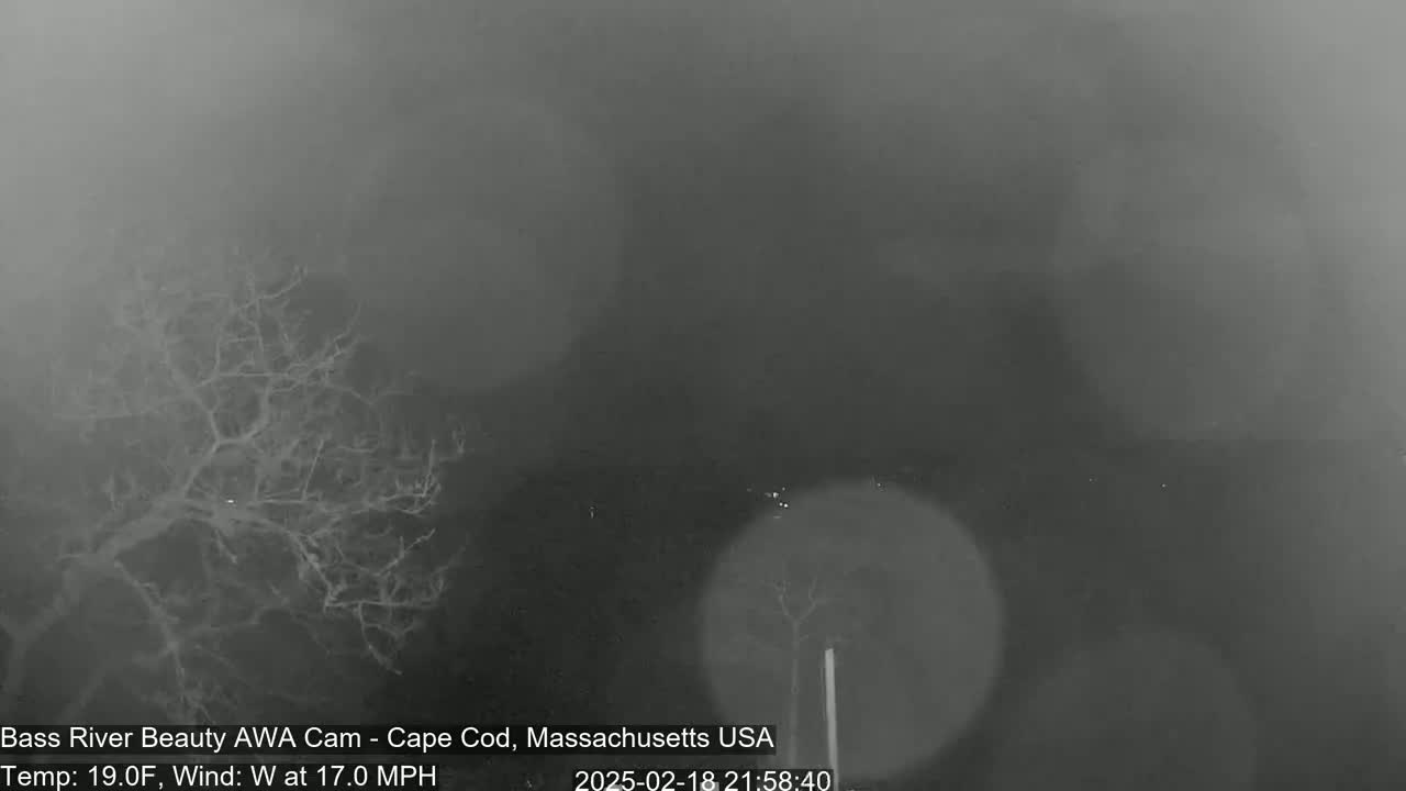 A nighttime, foggy scene shows bare trees and a blurry background with a 19°F temperature and a 17 mph westerly wind.