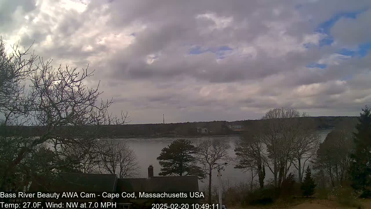 A partly cloudy day shows a calm body of water surrounded by leafless trees and a distant shoreline.
