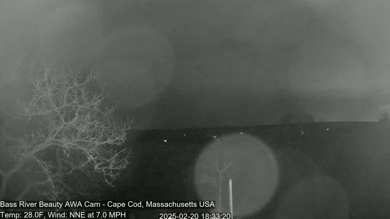 A nighttime, overcast scene shows bare trees in the foreground and a dark, distant horizon under a gray sky, with a light wind.
