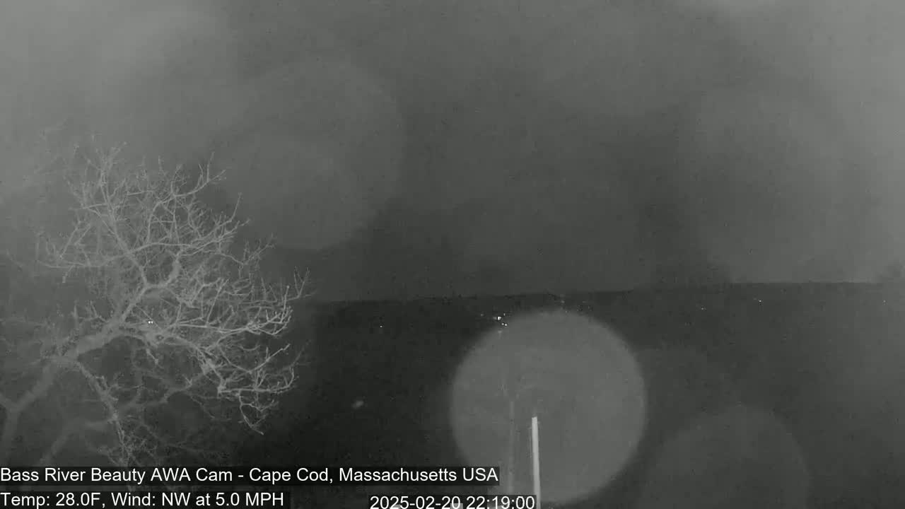 A bare tree is visible in the foreground against a dark, hazy background under nighttime conditions with a northwest wind.