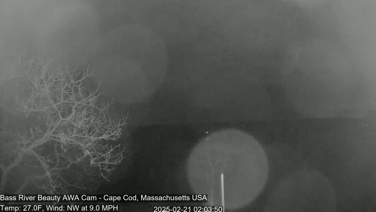 A bare tree stands in the foreground of a snowy, nighttime scene with a northwest wind.