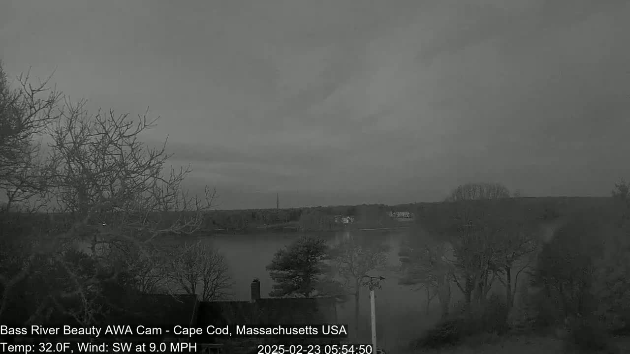 A grayscale image shows a calm body of water under an overcast sky, bordered by bare trees and a distant shoreline.