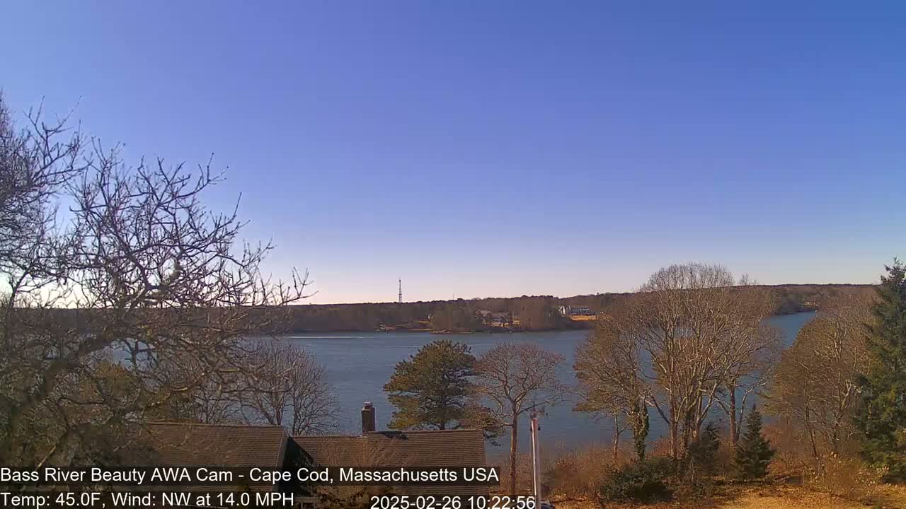 A calm body of water is seen from a vantage point across a shoreline with leafless trees and houses under a clear blue sky.